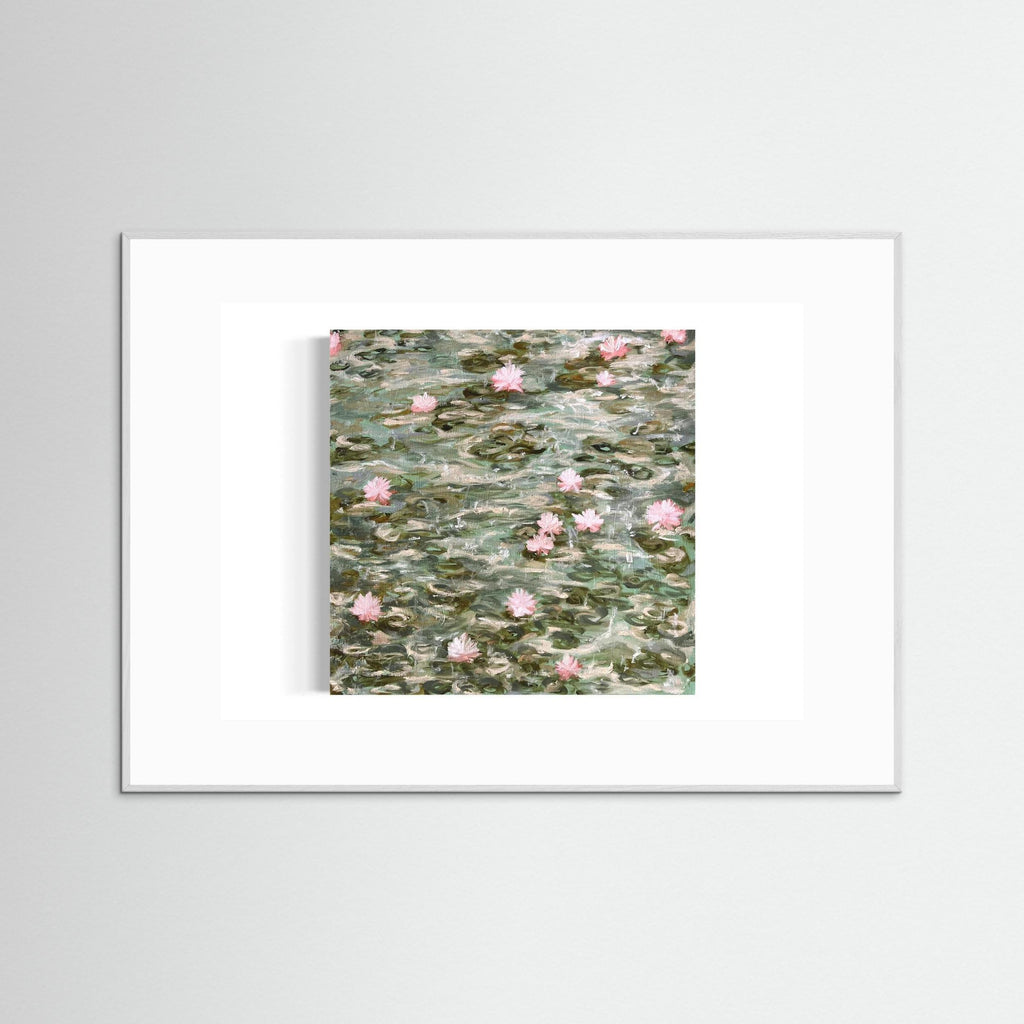 Water Lilies Pond Rain 