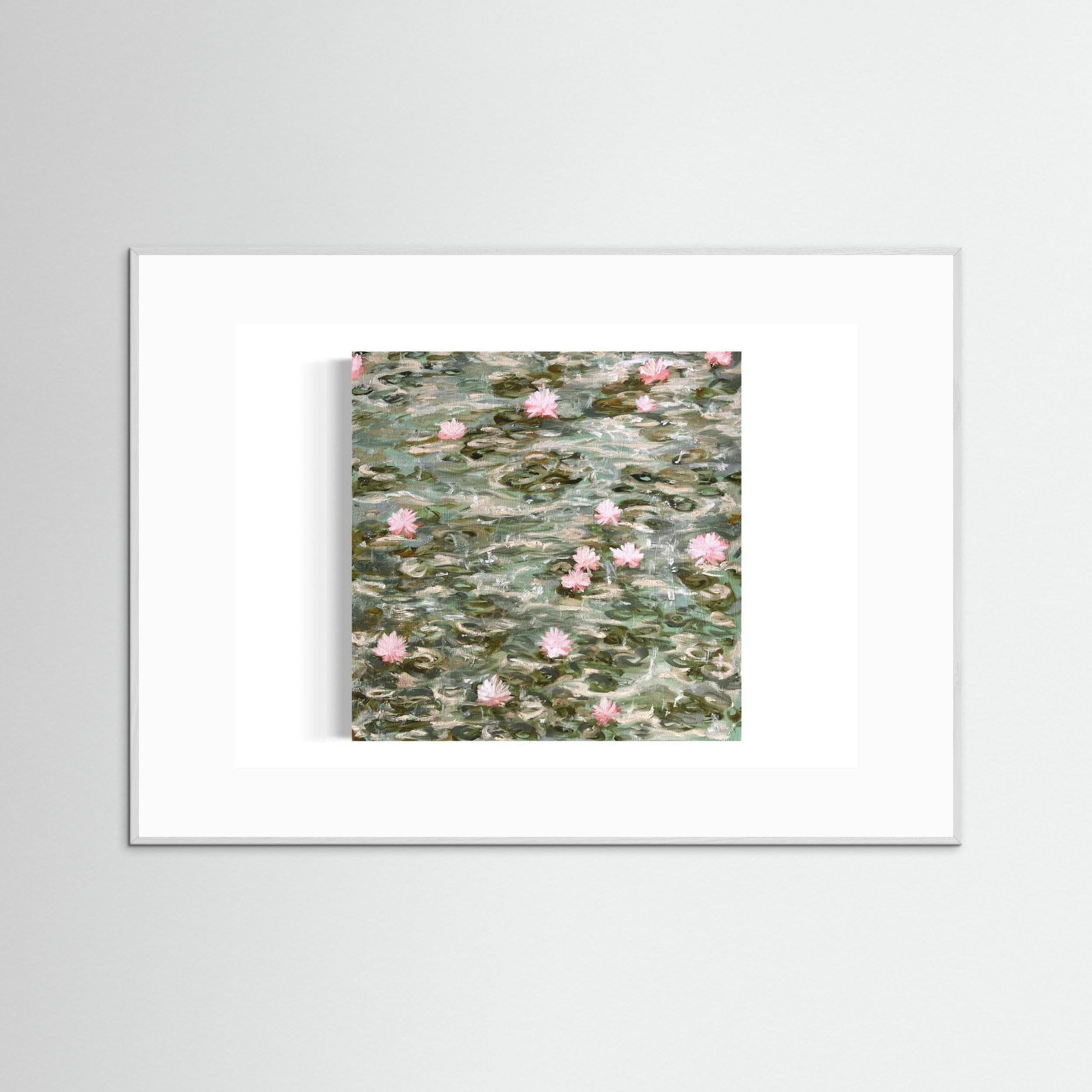 Water Lilies Pond Rain 