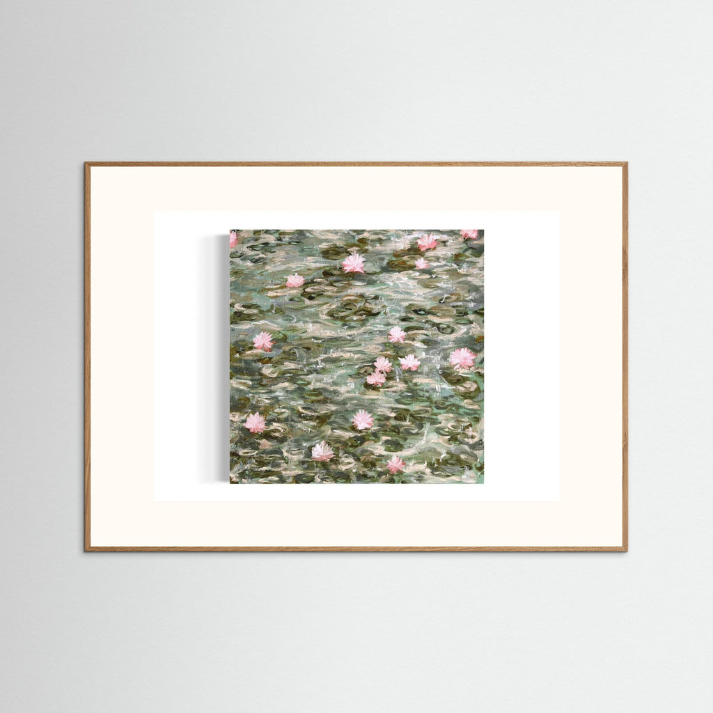 Water Lilies Pond Rain 