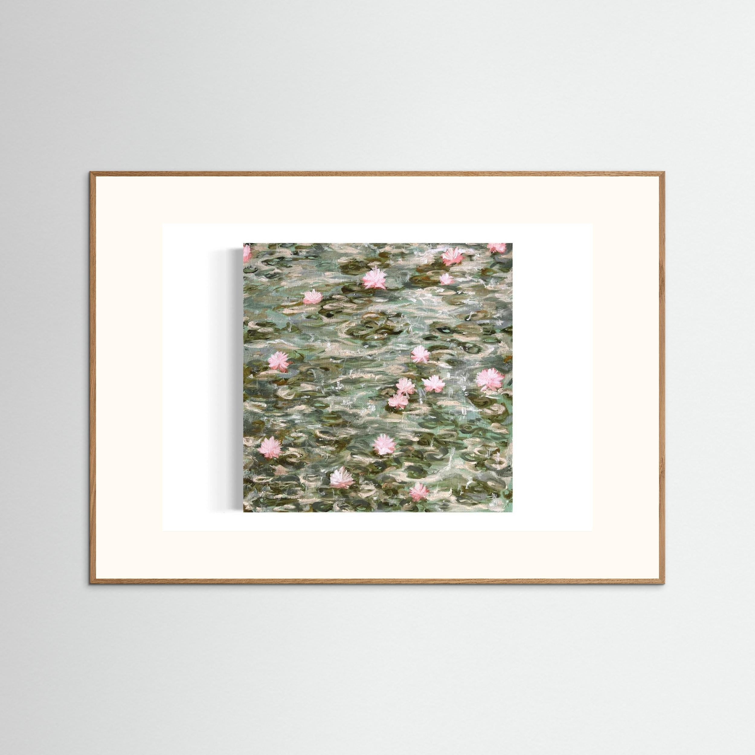 Water Lilies Pond Rain 