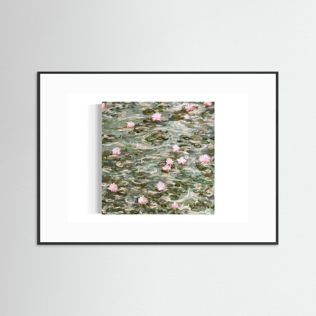 Water Lilies Pond Rain 