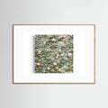 Water Lilies Pond Rain 