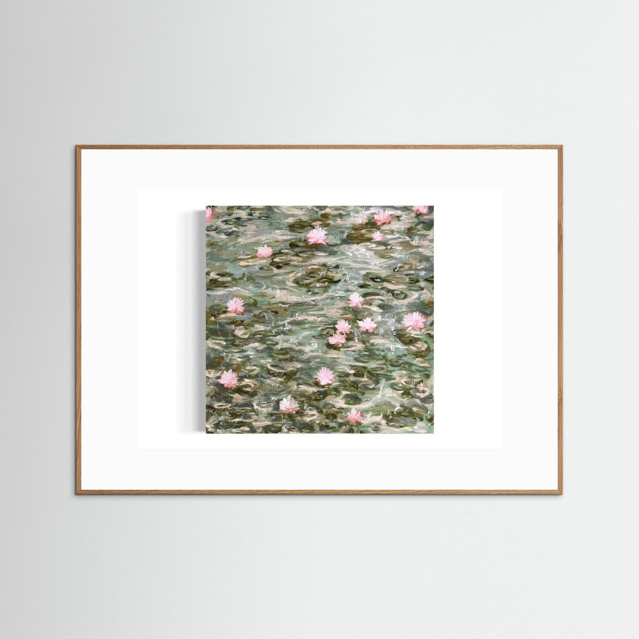 Water Lilies Pond Rain 